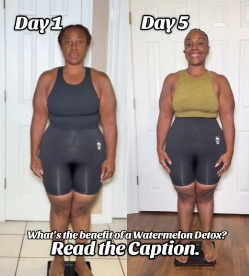 ���̾�Ʈ ����