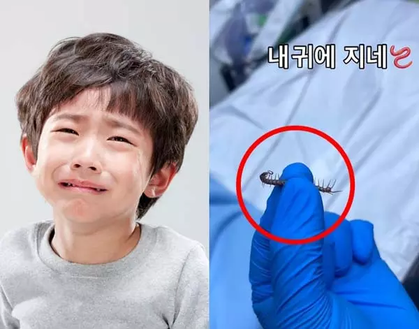 이미지