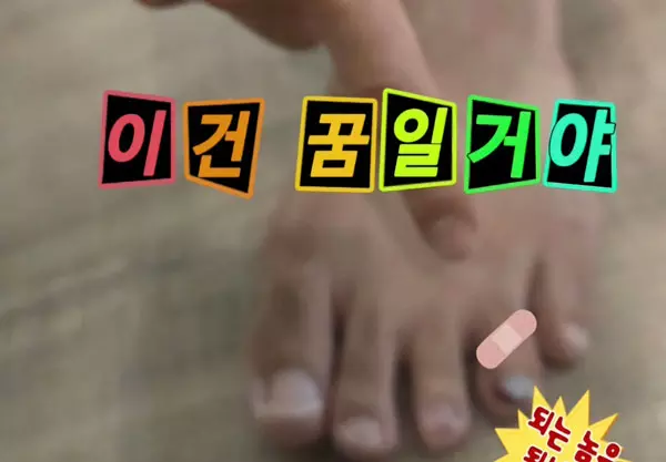 이미지
