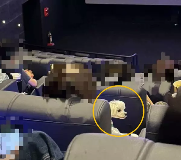 이미지