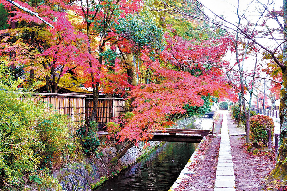 교토의 여백을 따라 걸으며, 여유를 느끼다