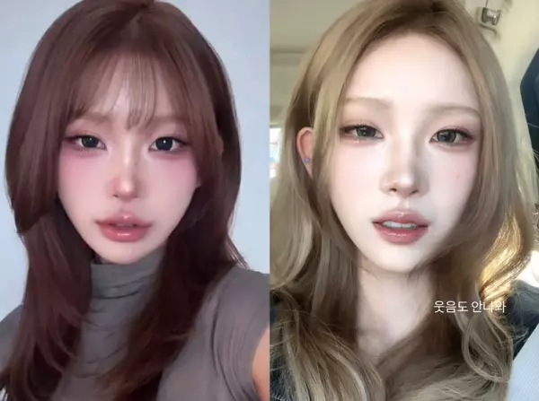 이미지