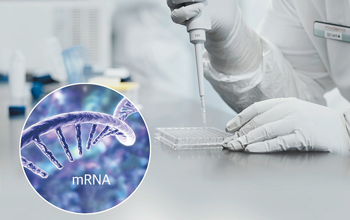 겨울 앞두고 코로나19 유행 가능성… 'mRNA백신', 고령층 보호 효과