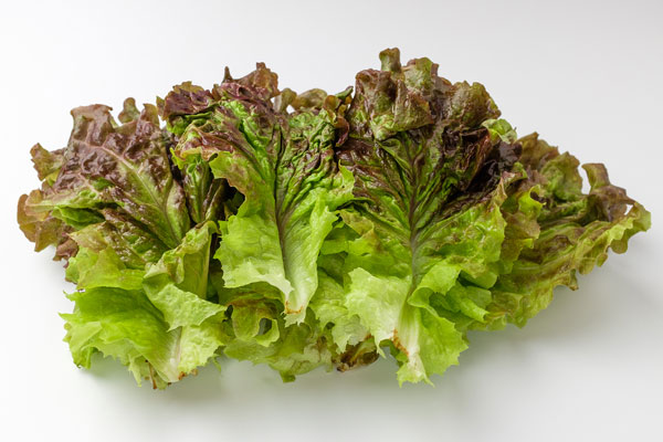 “상추 먹으면 졸리다” 상추 추출물 등장했던데, 정말 수면에 도움 줄까