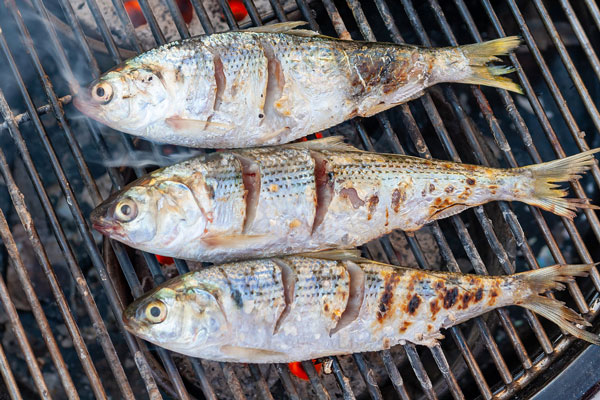 “전어 잘못 먹었다가는”… 사망률 높아 치명적인 ‘이 병’, 뭘까?
