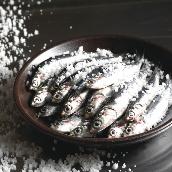 오메가3 풍부한 생선, ‘이렇게’ 먹으면 효능 더 커져