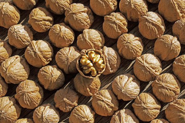 해 짧아졌다, ‘이 음식’ 먹고 빨리 기운차리자