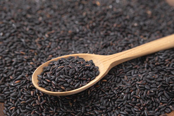 밥에 ‘이 곡물’ 넣으면… 살 빠지고, 혈당 줄고, 심혈관도 건강