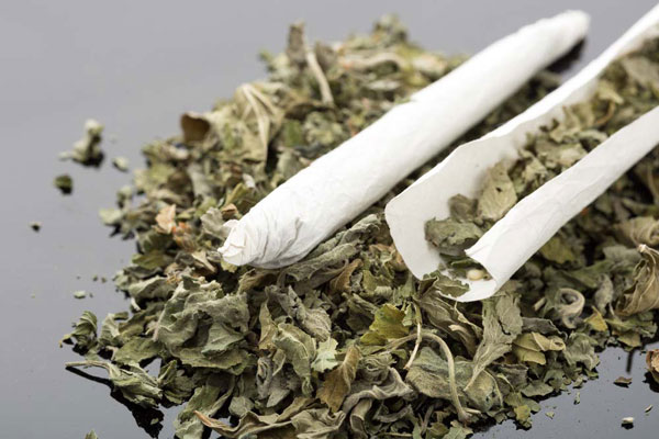 해군 병사도 대마 밀수… 2030 온라인 마약 급증, ‘이곳’ 건강 위협한다