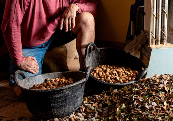 “정형외과 전문의 추천” 관절염 환자가 먹으면 좋은 음식… 뭘까?