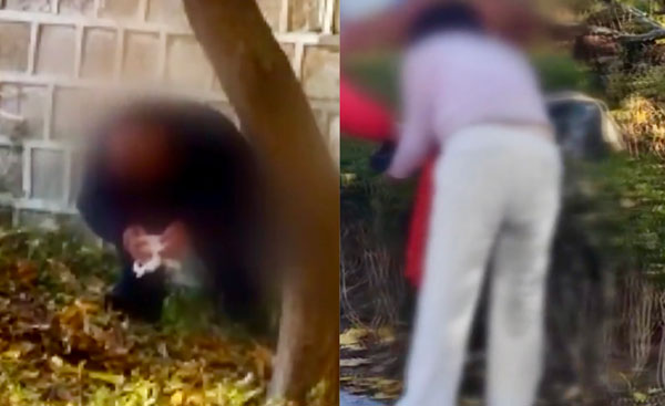 경복궁 돌담 밑에서 男女 나란히 용변을… 치명적 ‘이 병’ 어쩌나