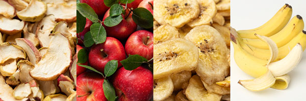 “말린 과일에 항산화물질·식이섬유 풍부”… 혈당 걱정될 땐 ‘이것’ 말린 것으로