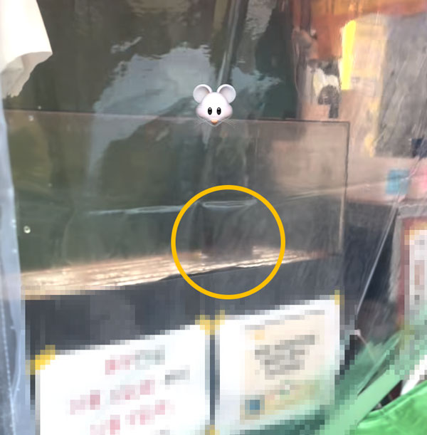 길거리 붕어빵, 위생 주의보… “쥐가 앉아 부스러기 주워 먹었다”