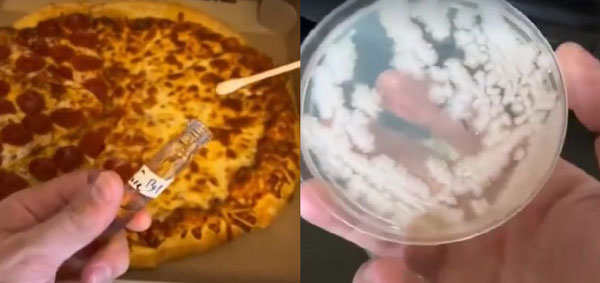“먹다 남은 피자” 냉장고에 안 넣었더니… 박테리아 ‘이렇게’ 번졌다