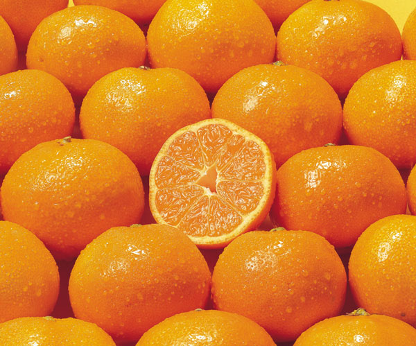 혈당 걱정인 사람, 귤 먹어도 될까? ‘이만큼’은 괜찮아