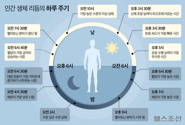 몇 시에 운동하세요? 과학이 밝힌 최적 시간 따로 있다