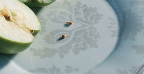 뱉어내기 번거로워 씹어 삼켰다가… ‘독성 위험’ 큰 과일 씨, 뭘까?