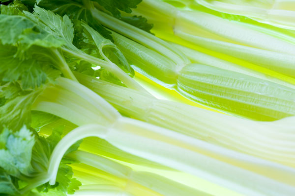 “해동하고 후회한다”… ‘이 음식’은 냉동 보관 말라던데, 뭐지?