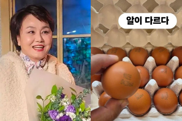 ‘이경실 달걀’ 품질·가격 논쟁 확산… ‘난각번호’가 대체 뭐길래?