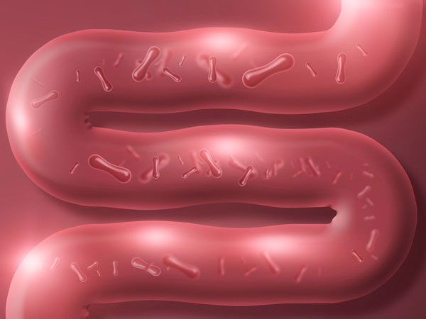 자폐와 장내미생물 연구, 대규모 검토서 ‘근거 없음’ 판정