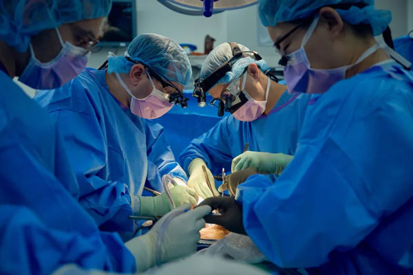 '이종 이식' 받아도 생존 가능해지나… 美 연구팀, 거부반응 두 차례 되돌렸다