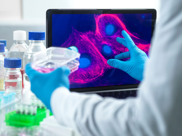 운동하는 생쥐에 ‘이 치료’ 더하자… 근육이 달라졌다