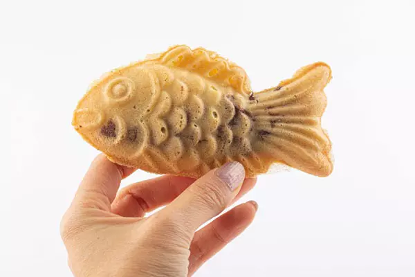 이미지