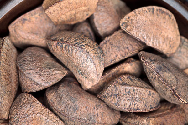 '이것' 물에 우려 마시면 암 막고, 혈관 탄력 챙긴다… 뭘까?