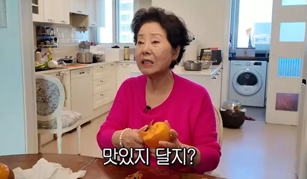 이미지