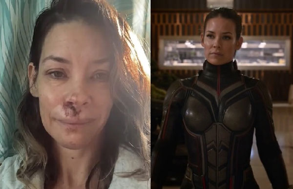 �������� ����