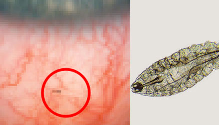 ���� ���� ����