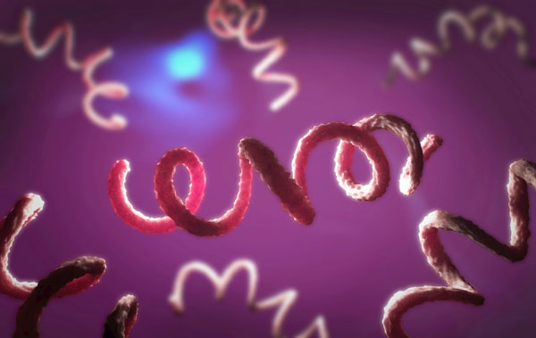 �ŵ��� ����