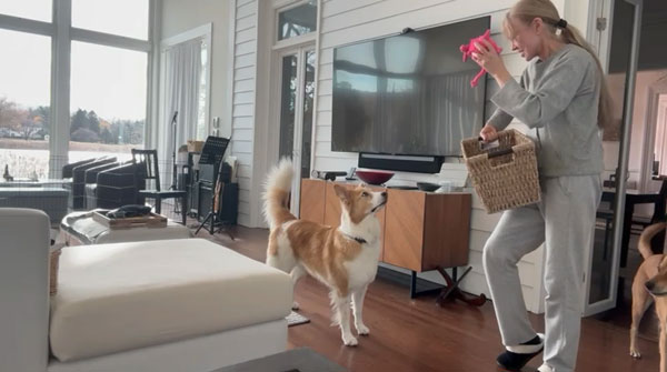 “혹시 우리 강아지도?” 똑똑한 개, 사람처럼 단어 배운다 [멍멍냥냥]