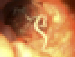 “배 안에서 벌레 자라도록 알 삼켜”… 대체 왜 이런 짓을?