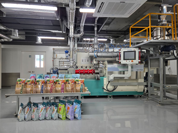 ���� ���� ����