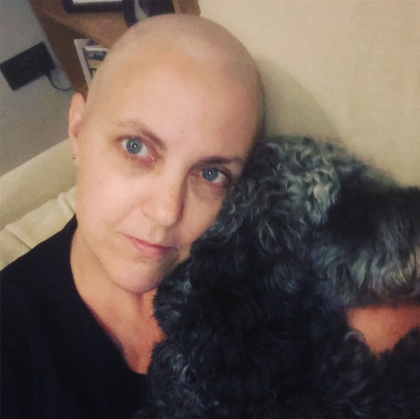 ���� �������� ����