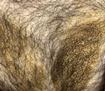 “때 안 밀어서?” 물로도 안 씻긴 ‘노란 자국’, 정체 뭐였나