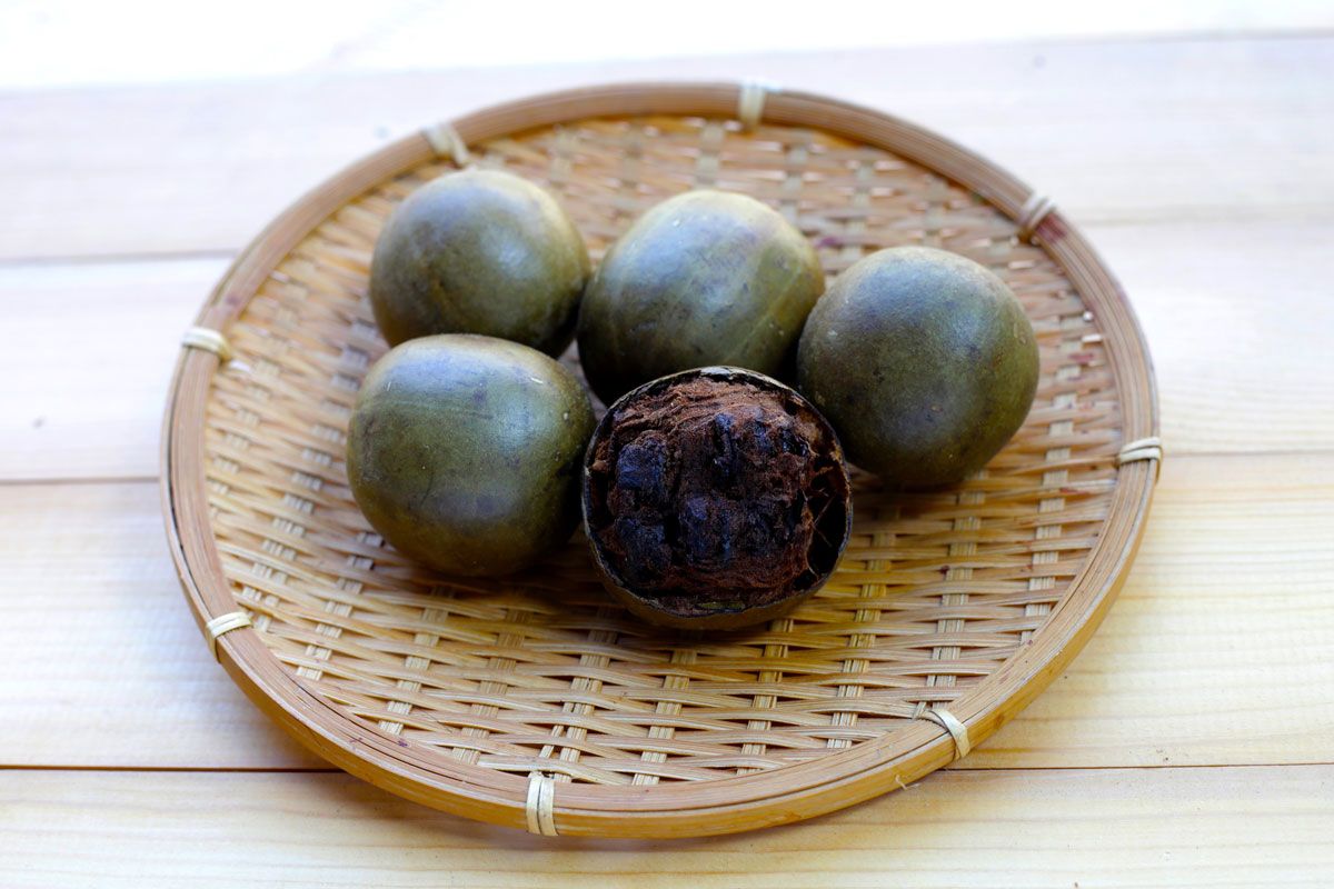 “살면서 처음 들어봐” 중국의 ‘이 열매’, 암세포 억제 효과… 대체 뭐야?