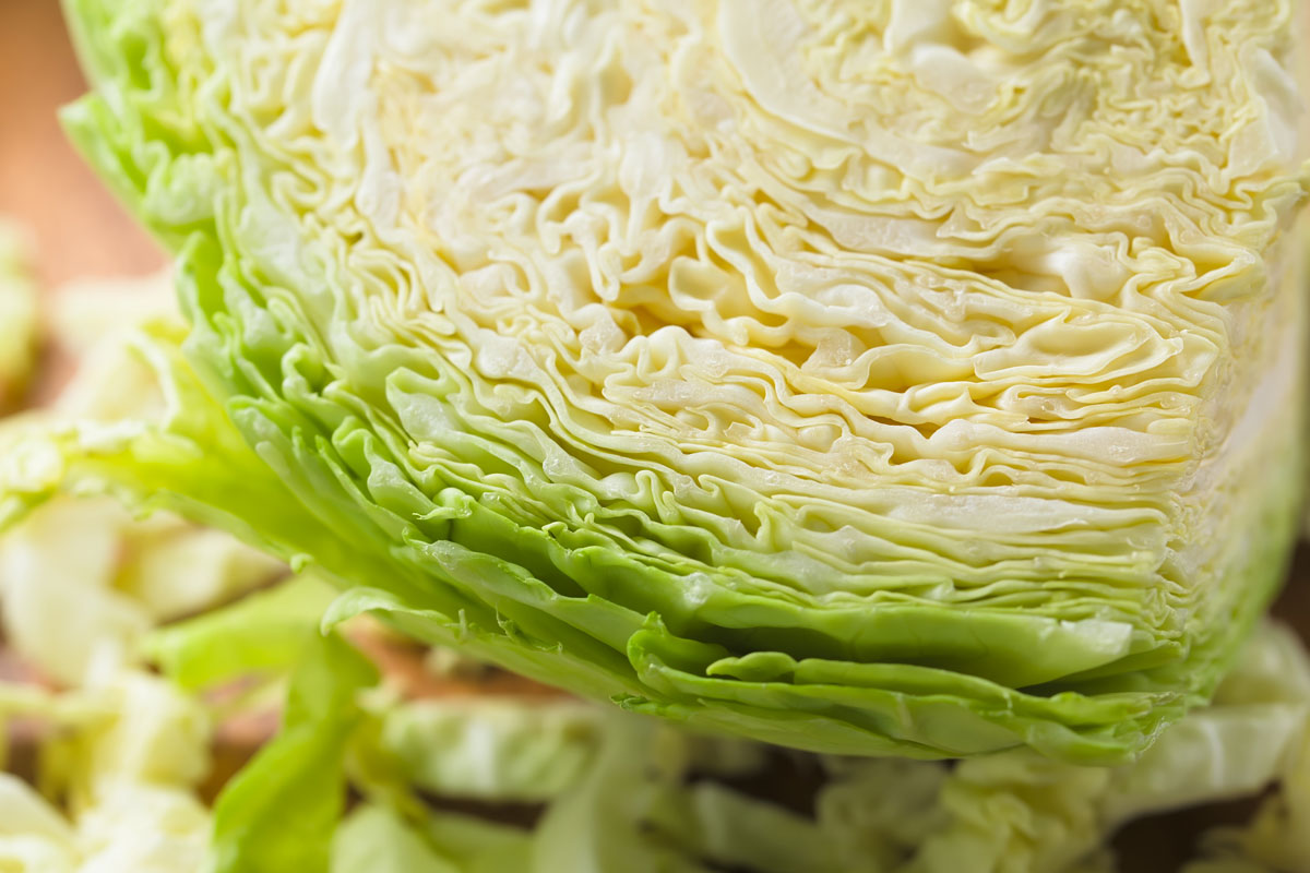 “비타민 풍부, 혈당 잡아줘” 효과 톡톡히 보는 양배추 조리법은?