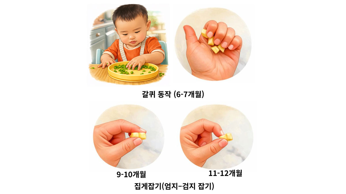 ���� �� ����