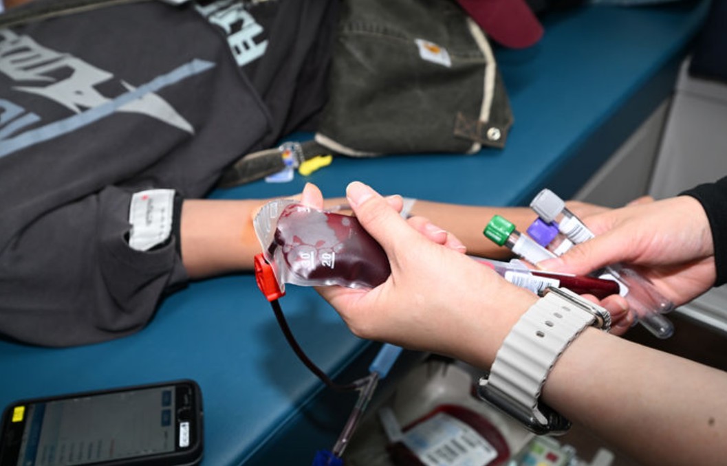 �����ϴ� ���