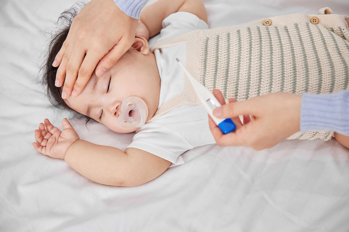 ����ũ �� ������