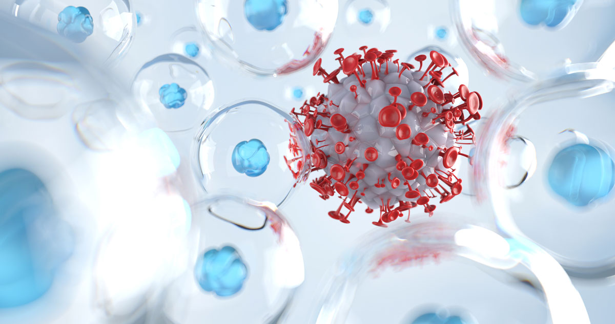 �ϼ����� ����ȭ�� ����