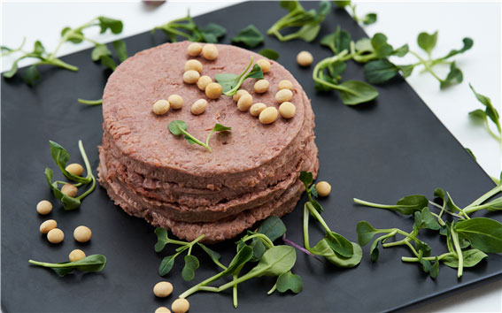 ��ü�� �����