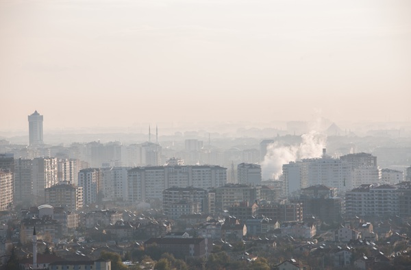 �̼����� ������ ����