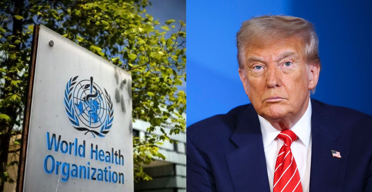 WHO�� ���ε� Ʈ����