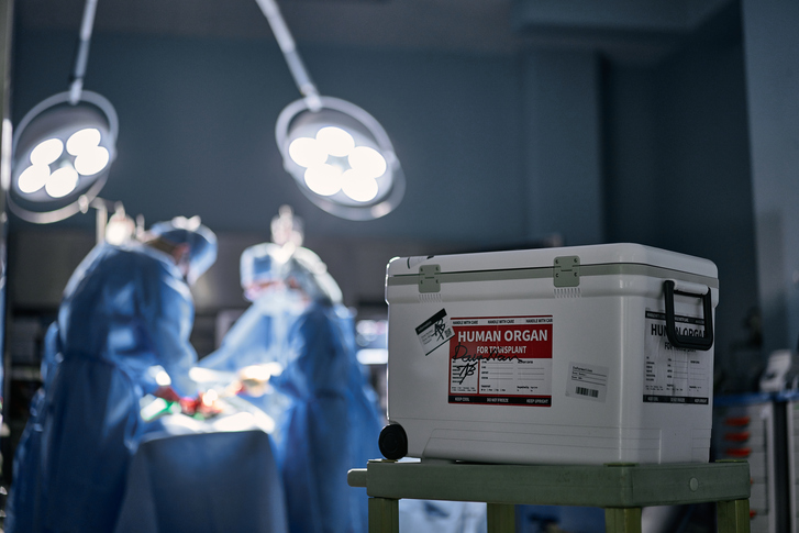 ������ ���� ���