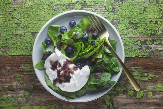 ��ä�Ұ� ������ ������