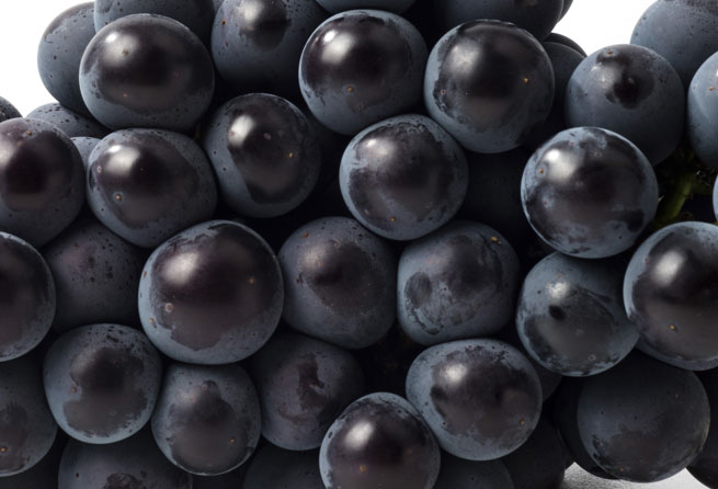 ���� �̹���