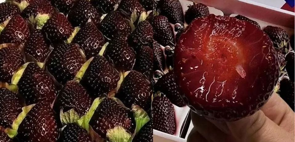 ���� �� ���� �̹���